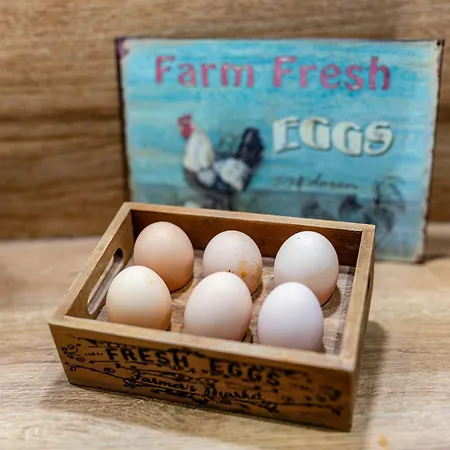 Maison 1775 Ferien Im Historischen Mit Sauna, Wissembourg, Elsass *